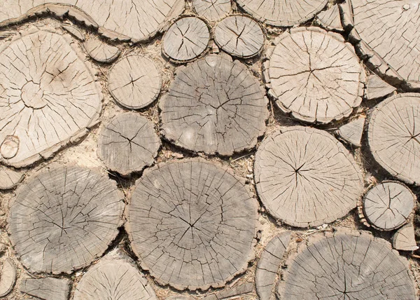 Chemin Randonnée Des Barres Bois Images De Stock Libres De Droits