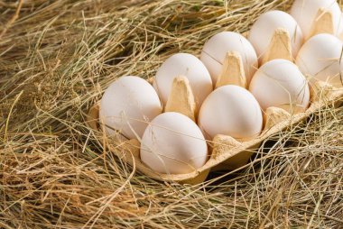 Saman içinde tavuk yumurtası. Ahşap rustik arka plan.