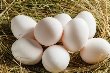 Saman içinde tavuk yumurtası. Ahşap rustik arka plan.