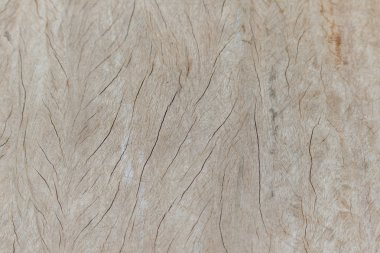 (Arka plan için eski ahşap doku).