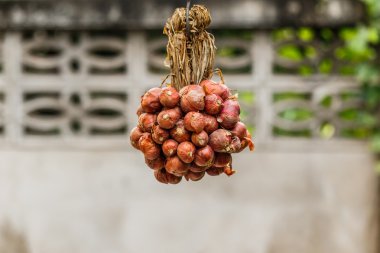 Renkli pişirme Tayland bir yığın içinde soğan demet.