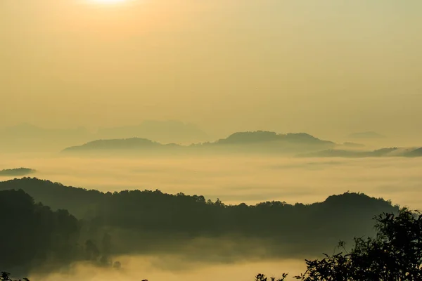 The morning in the mist of winter in Phu bo bit, Loei Thailand — стоковое фото