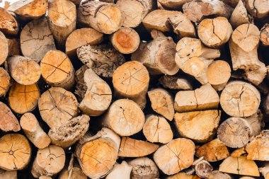 Hisse senedi ateşinde yakıt için kuru. Onlar yemek için kullanın ve ne zaman ısı yapmak co