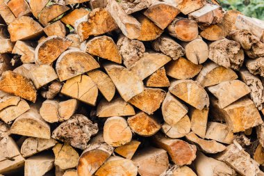 Hisse senedi ateşinde yakıt için kuru. Onlar yemek için kullanın ve ne zaman ısı yapmak co