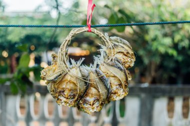 Kurutulmuş balık raf piyasada, Tayland kurutma.
