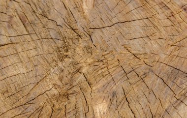 eski vintage ahşap arka plan