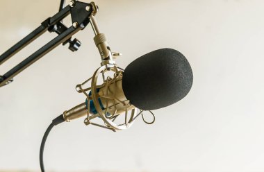 Profesyonel yoğunlaştırıcı stüdyo mikrofonu, Müzikal Konsept