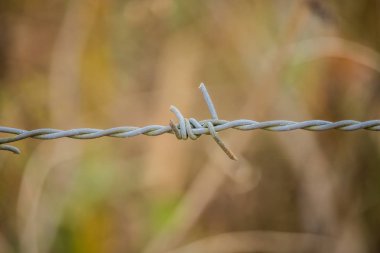 Vintage bir görünüm (çit Jiletli tel, yakın çekim) 