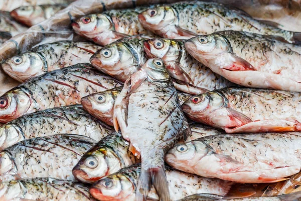 Süßwasserfisch, der auf lokalen Märkten verkauft wird. Thailand — Stockfoto