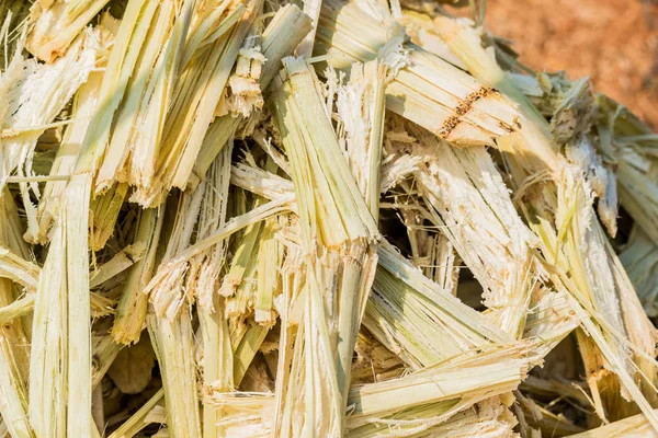 Tutup tumpukan bagasse tebu — Stok Foto