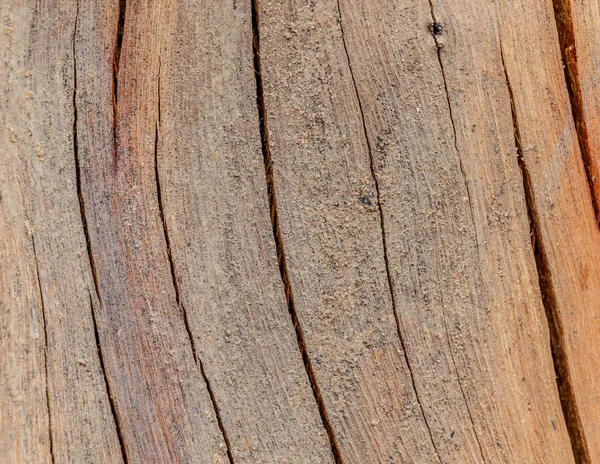 木製の床が汚い — ストック写真