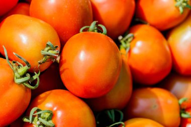 kırmızı domates arka plan. Grup domates (domates) 