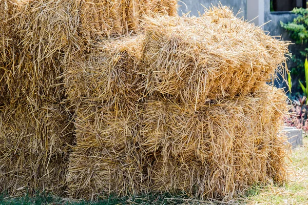 Fotos: pacas de heno | pacas de heno — Foto de stock © dima4to@gmail