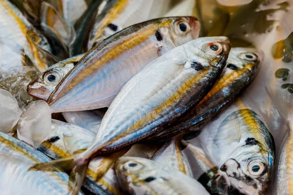 Frischer roher Makrelenfisch in Marktthailand — Stockfoto