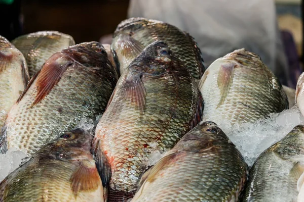 Tilapia Fisch frisch im Eis auf dem Markt verkaufen. — Stockfoto