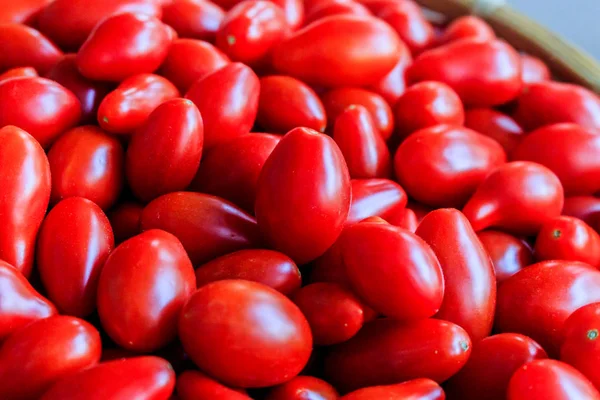 Taze domates arka plan olarak kullanılabilir. (seçici odak) — Stok fotoğraf