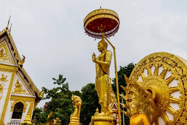Estatua de Buda en Maha ese templo en la provincia de nakhonphanom th —  Fotos de Stock