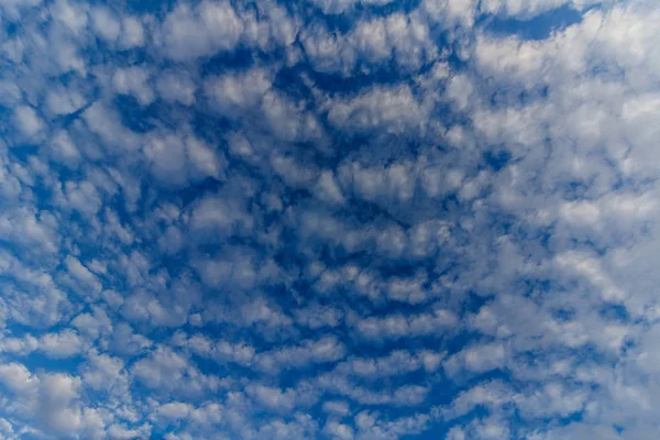 Nuvens brancas na frente de um céu azul — Fotografia de Stock