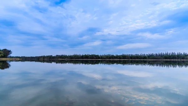 Вода и небо прекрасны в летний день на болоте — стоковое фото