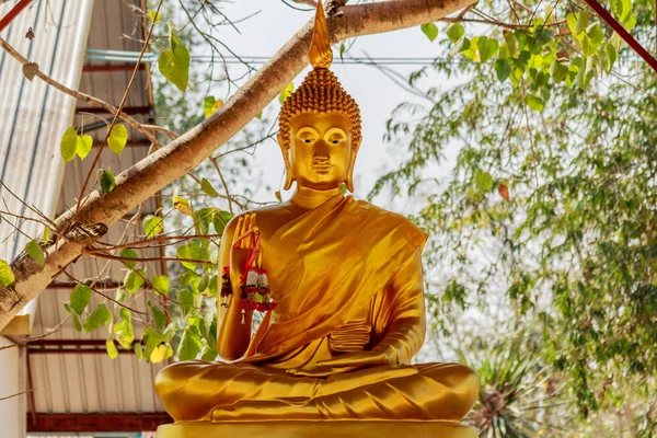Buddha statue sitting under Bodhi tree .