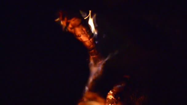 Oheň Spotřebuje Dřevo Oheň — Stock video