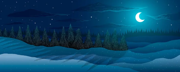 Panorama. Paisaje invernal. Bosque de abetos en la noche. Luna entre estrellas y nubes . — Vector de stock