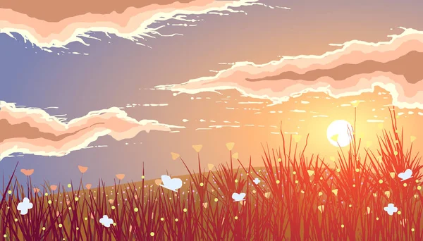 Wiesen und Blumen bei Sonnenuntergang. — Stockvektor