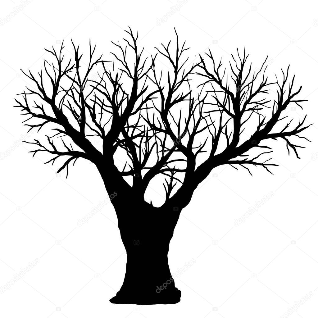 Download Silhouette of bare tree on a white background. — Stock ...