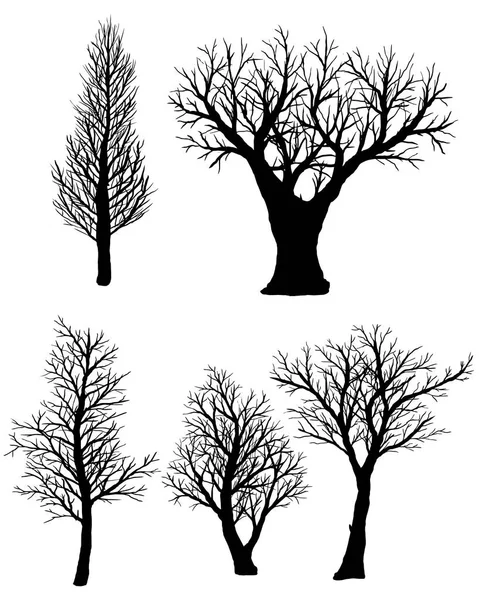 Set of silhouettes of bare trees on a white background. — Stock Vector