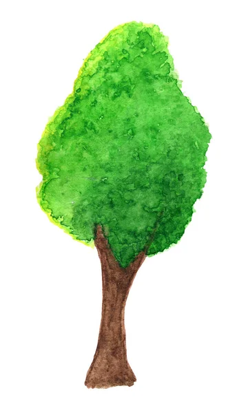 Зеленое дерево в акварели — стоковое фото