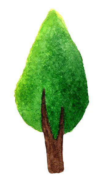 Зелене дерево в акварелі — стокове фото