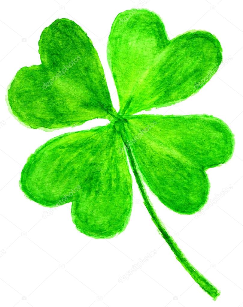Four-leaf clover on white background in watercolor