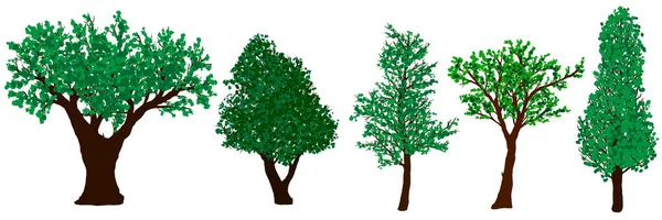 Set of green vector trees isolated on white background — Stock Vector