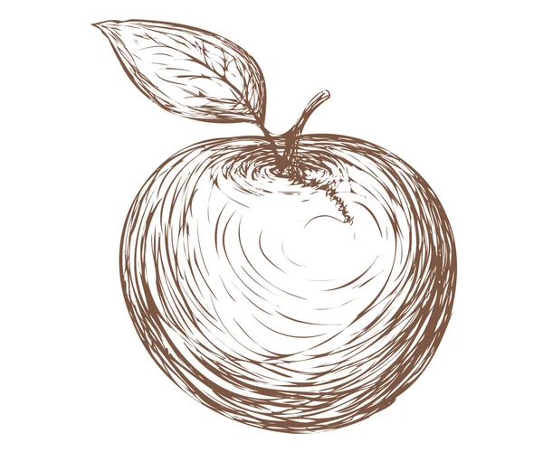 Vector appel in vintage stijl geschilderd in slagen op witte achtergrond. — Stockvector
