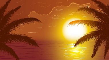 Gün batımında okyanusun arka planında palmiye yaprakları.