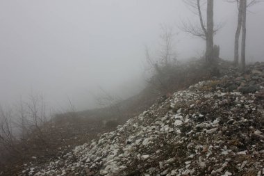 Çıplak ağaçlar ve çalılarla kayalık bir dağda yoğun sis var..