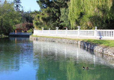Parktaki ağaçların arasındaki göletin kıyısında.