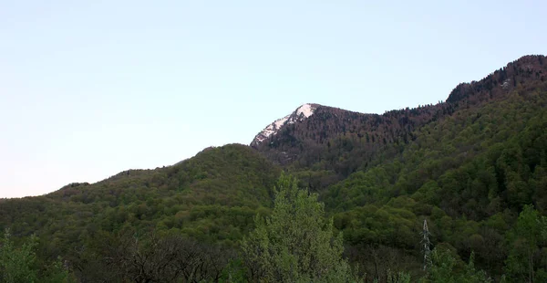 Paysage montagneux. Pic de montagne enneigé et pentes verdoyantes avec arbres . — Photo