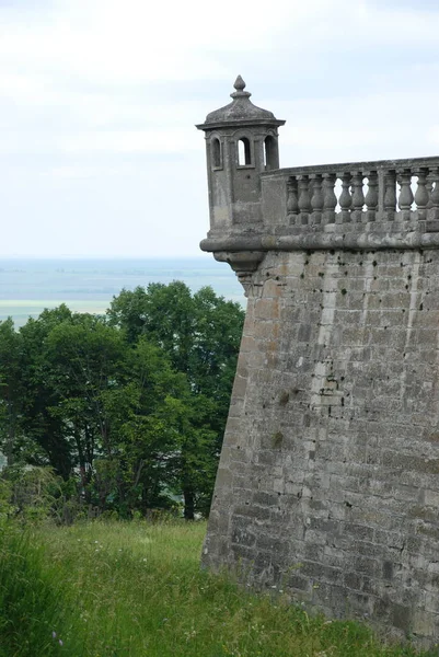 Storozheva Tower Palace Pidgoretskogo — Stock fotografie