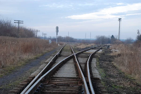 Κλάδος σιδηροδρόμων, γενική άποψη — Φωτογραφία Αρχείου