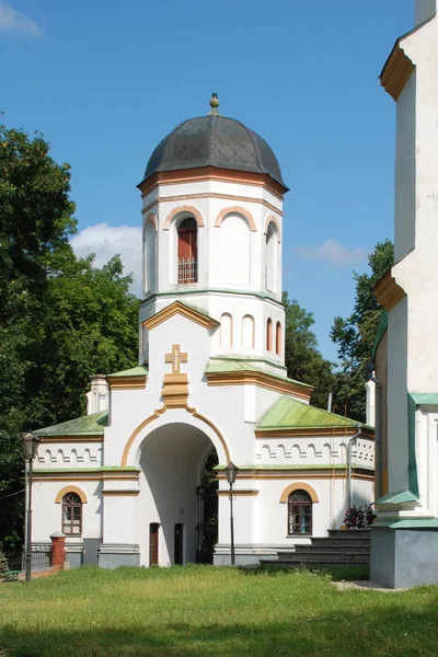 Dzinytsya Epiphany kathedraal — Stockfoto
