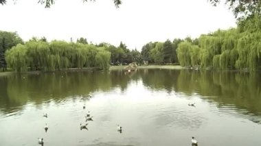 Hidro Rivne 'de