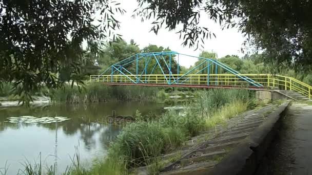 Řeka Ustya v Rivne — Stock video
