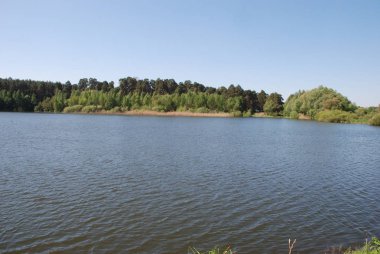 Orman Gölü, genel görünümü