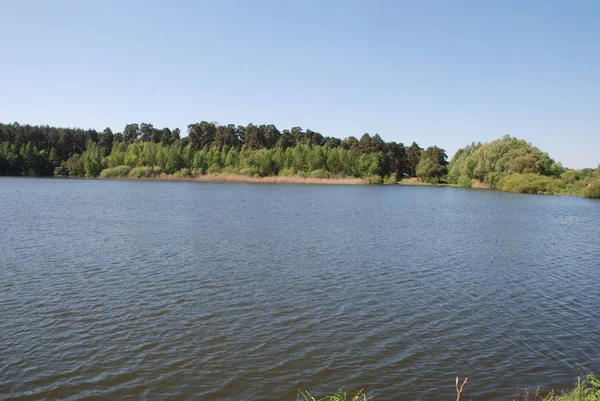 Orman Gölü, genel görünümü