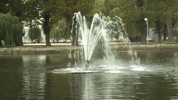 Brunnen im alten Park — Stockvideo