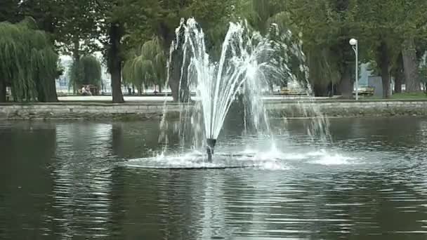 Fontein in het oude park — Stockvideo