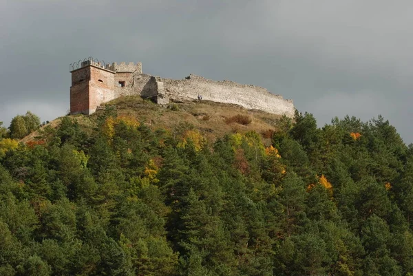 Vue Générale Colline Château — Photo