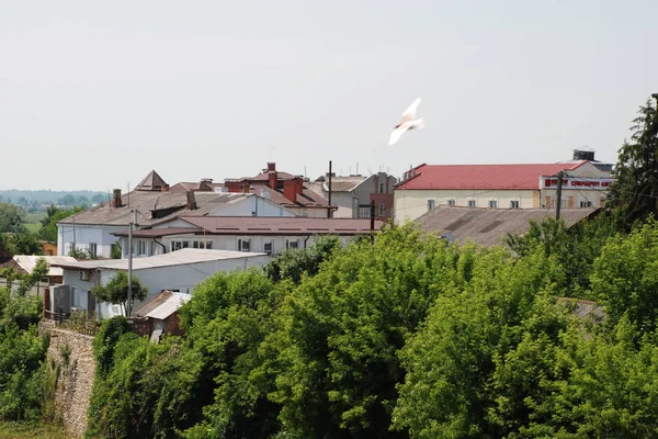 Улица Замкова Городе Дубно Ровенская Обл Украина — стоковое фото