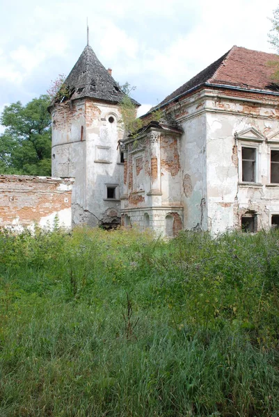 Paleis Het Dorp Van Pomaryany August 2015 — Stockfoto